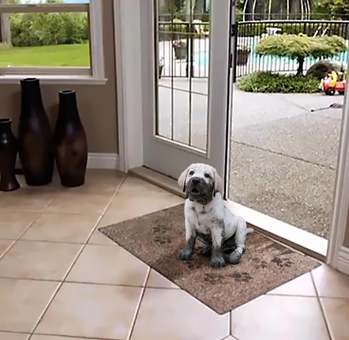 Dirttrapper mat at a Canadian home entryway